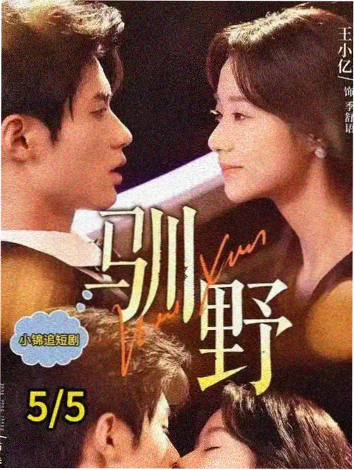春分那天的信剧集封面